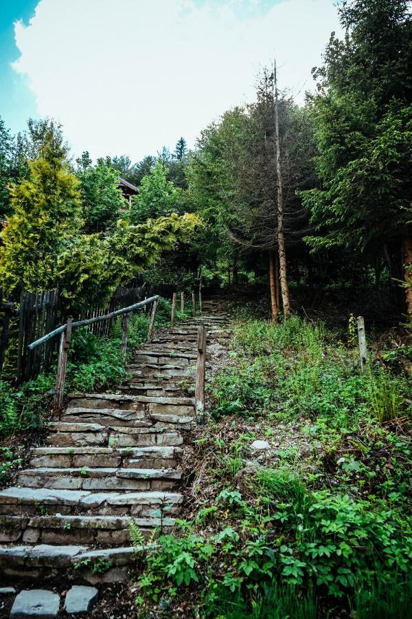 Вілла Chill On Hill - Щирк Екстер'єр фото